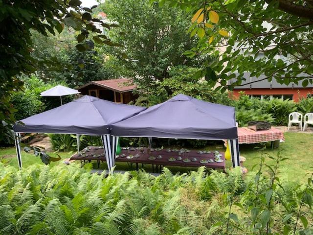 Hotel Sonnenhof Bad Wildbad Buitenkant foto